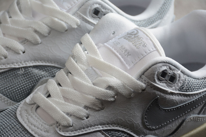 Patta x Air Max 1