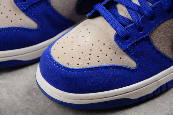 Nike DUNK LOW LX 
